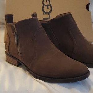 Ugg boots, brown suede